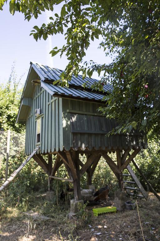 Le Clos Des Abeilles Ruch المظهر الخارجي الصورة